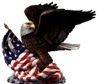 eagle1