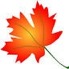 maple-leaf-clip-art-freesaueivvlgu6hqmrfksqsgzolodaved0ccmq9qewawsig2xbfmfgxvs2roe5db8itslqusgafqjcnhylbmyxoc61yv0zjgse_xirakgvg