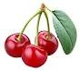 search3fq3dcherries26tbm3disch26tbo3duzoom1qcherriesusg__t4so9ipjfsemer3jj0pqcfdjaygsaxeikup8t9jihk-r0agf1ennbgved0cc4q9qewbq