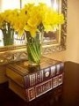 search3fq3ddaffodils2band2bhouse2bclip2bart26start3d10526um3d126hl3den26client3dsafari26sa3dn26rls3den26tbm3dischum1itbs1