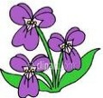 search3fq3dspring2bflowers2bclip2bart26hl3den26client3dsafari26sa3dn26rls3den26ndsp3d2026tbm3disch26prmd3divnseiwfkltft5aamq0qgkzfjnca